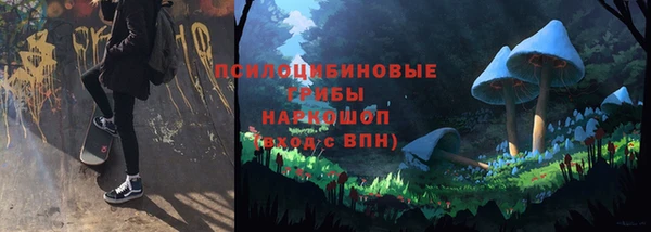 бошки Нягань
