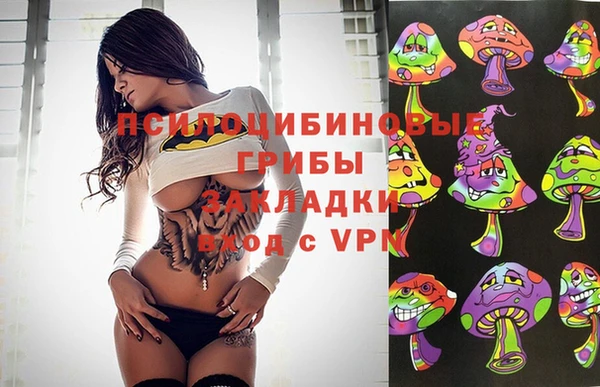 бошки Нягань