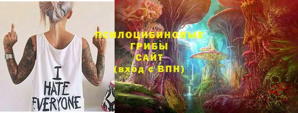 бошки Нягань