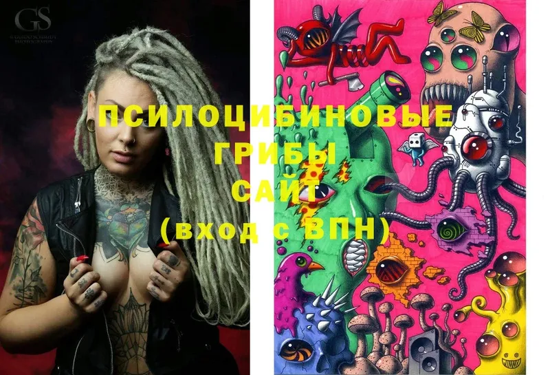 Галлюциногенные грибы Cubensis  где купить наркоту  omg tor  Агидель 
