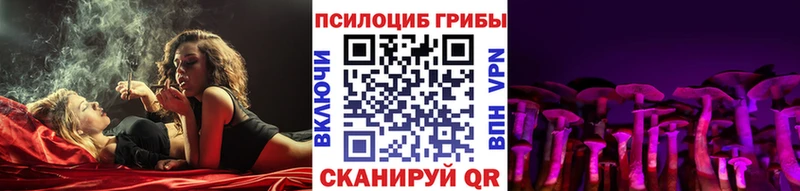 дарк нет телеграм  Агидель  Псилоцибиновые грибы Psilocybine cubensis  купить наркотик 